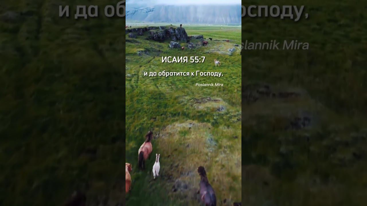 poslannikmira#shorts