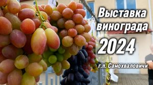 Выставка винограда в г.п. Самохваловичи 2024