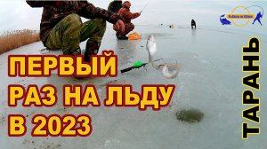 ПЕРВЫЙ РАЗ НА ЛЬДУ / ТАРАНЬ 2023  /// Рыбалка на Кубани 2023 /// Выпуск № 32