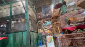 Индонезия қуш бозори-Птичий рынок Индонезии