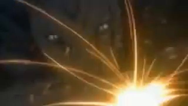 Белые волки