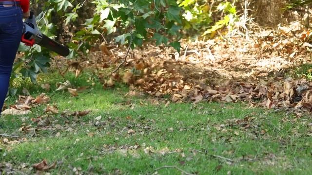 Enhulk Leaf Blower Best Cordless Leaf Blower смотреть онлайн
