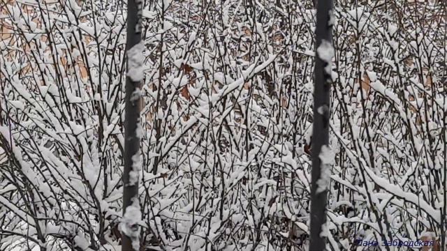 Зима пришла смотреть онлайн