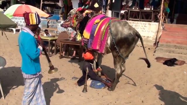 Гоа, Анжуна - Багга, ШОУ на Пляже, Покупаем Крабов на Вечер / Anjuna, Baga beach GOA