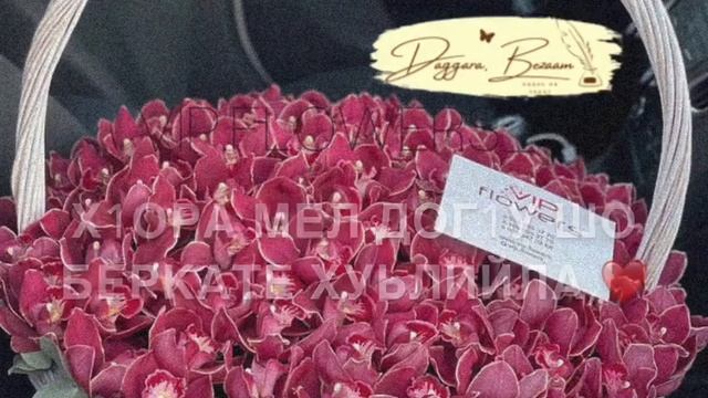 Дала декъал йойла хьо(Марнана) смотреть онлайн