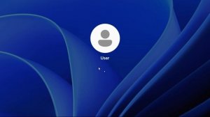 Сброс пароля Windows 11 без флешки