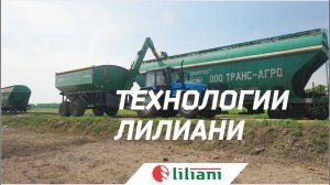 Перевалка и хранение зерна/Практический опыт снижения затрат и роста прибыли