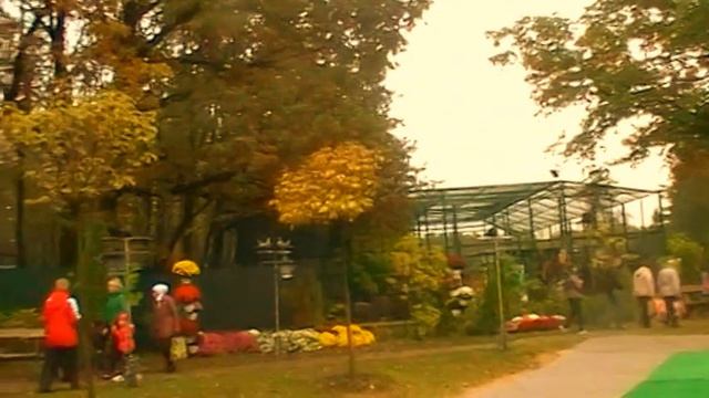 Фестиваль хризантем, парк Фельдмана 1 смотреть онлайн