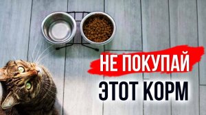 Как за 5 секунд отличить хороший корм для кошек от плохого