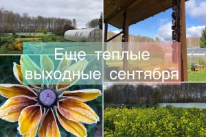 Еще теплые выходные сентября