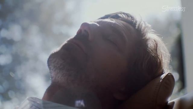 Stressless at Berkowitz Furniture - 20% Off Entire Range смотреть онлайн