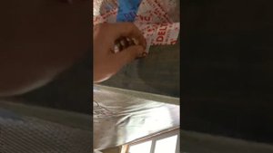 Лучшая пароизоляция