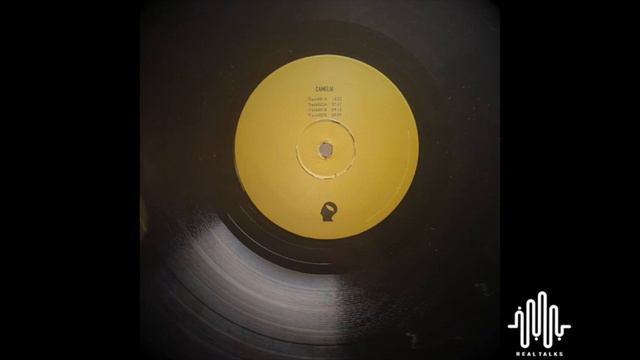 Camelia - Track001B [Botanic Minds Sunset Series - BMSS001] смотреть онлайн