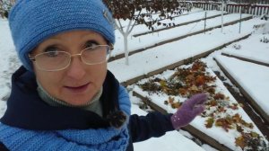 Видео привет с 6 соток 29 октября 2023 года