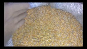 Зерновые через гранулятор проходит термообработку! Cereals through the granulator are heat treated!