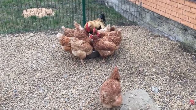 Забыл выключить кварцевую лампу!!! смотреть онлайн