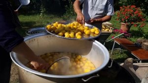 Сбор абрикосов Азербайджанская Кухня Деревенская Кухня  Рецепты