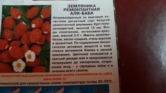 ✔?Земляника "АЛИ-БАБА"/Ремонтантная/Безусая/Лесная ягода в доме!? смотреть онлайн
