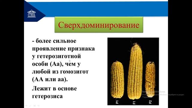 Взаимодействие генов смотреть онлайн