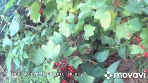 300. Включите тишину (с. Хо́луй)