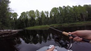 Река Кема, рыбалка.