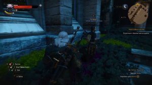 The Witcher 3: Wild Hunt Тайная комната в королевском замке в Вызиме