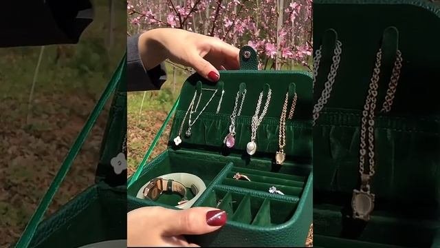 Органайзер для ювелирных изделий