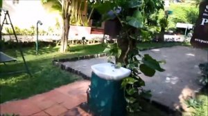 Saigon Phu Quoc Resort  - Hotel Highlights & Review