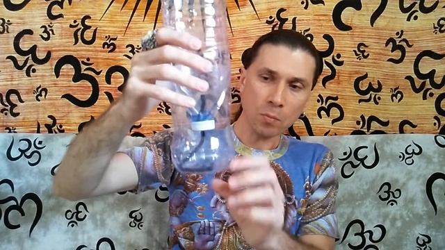 Как выращивать деревья из косточек