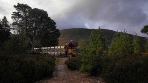 Hiking High into the Cairngorms | Campervan Adventures in the National Park