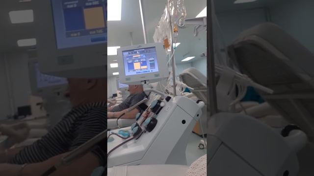 Сдача крови на тромбоциты и плазму смотреть онлайн