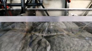 Пеностекло,  биофильтрация аквариумной воды