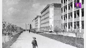 Город Навои рождения на картинках