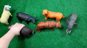 Узнайте имена животных - Дикие Домашние - Игрушки для детей