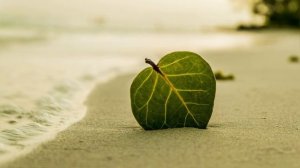 Не терзай себя.Как перестать тревожиться и начать жить спокойно?!  Мудрость поколений