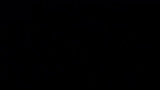 #Ракитник1 Декоративные #кустарники56 Декоративные растения смотреть онлайн