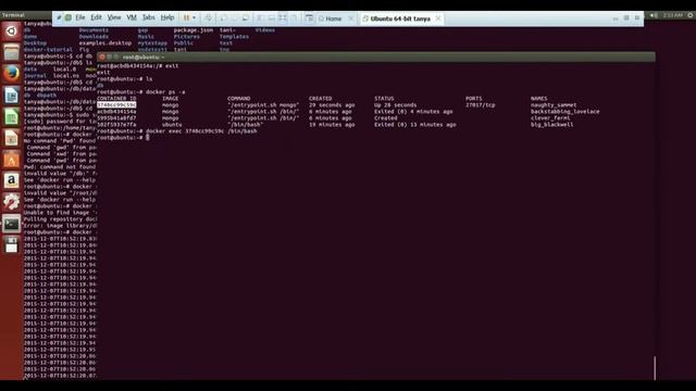 Virtualization using Docker Demo: Part 1 [by Neelam Choudhary] смотреть онлайн