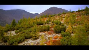 Осень в Билибинском районе #Чукотка #Билибино #Север #Россия