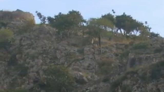 Chudotvor ikoni Bogorodici 1 смотреть онлайн