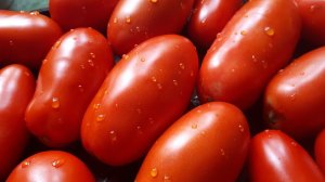 Вы знаете как спасти урожай томатов от.......?