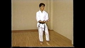 Традиционное каратэ. Киндзе Хироси. Ч 2.