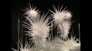 Волшебное стекло художника - мастера Дейла Чихули .