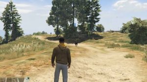 Играем с собакой GTA V на PC Grand Theft Auto V ГТА 5 – Кидаем Чопу мячик GTA 5 на ПК