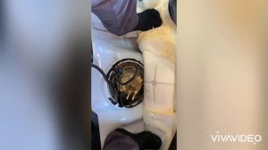 Шевроле Каптива 2.2 дизель