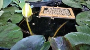 Водоем_релакс