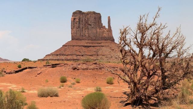Tigerforest. Cloudless Days смотреть онлайн