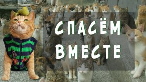 СПАСЁМ ВМЕСТЕ