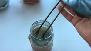 Пахира Пытаюсь реанимировать