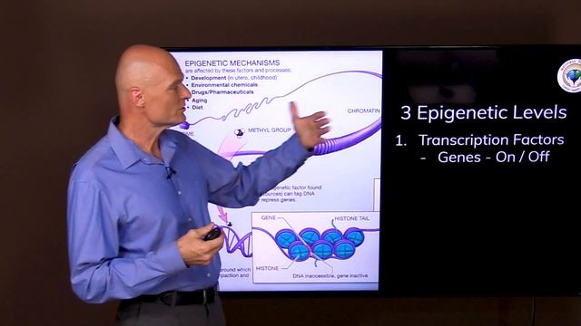 Anti-Aging: The Secret To Aging In Reverse смотреть онлайн