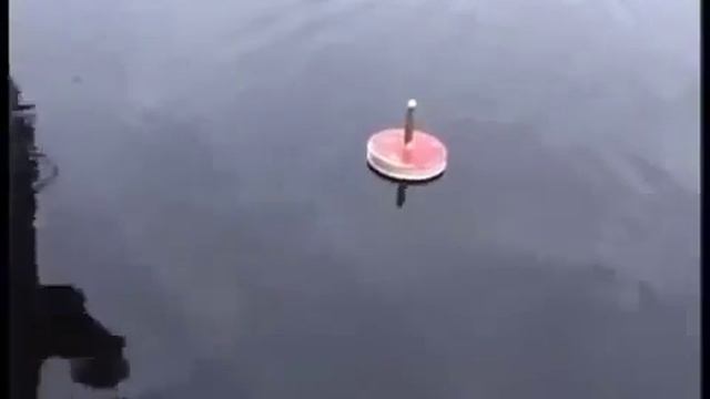 Ловля щуки на живца, рыбалка на кружки, хорошая рыбалка смотреть онлайн